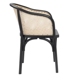 Zaria Arm Chair 11 Zaria Arm Chair -furniture webimage 013130684 2 jpg